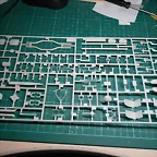 DSCN4365