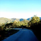 DSCN8104