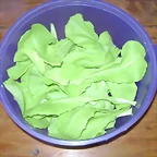 iyc1BLFu5YSTQ