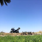 IMG_20210627_110946