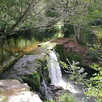 DSCN1818