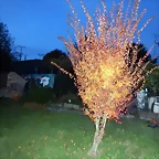 DSCN0660