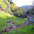DSCN9088