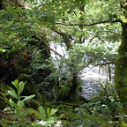 DSCN2770