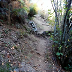 DSCN7944