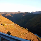 DSCN6525