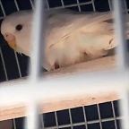 20180830_155435