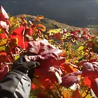 DSCN4469