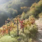 DSCN4468