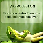no molestar !!!