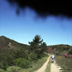 DSCF2503