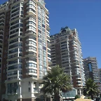SDC10575