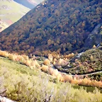 DSCN1373
