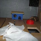 P6130323