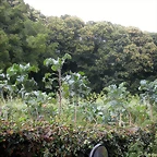 DSCN4717