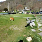 DSCN9725
