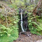 DSCN4233
