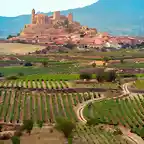 Rioja_SanVicente