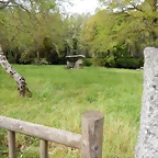 DSCN9201