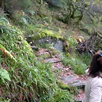 DSCN0661