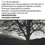 Mar?a twitter 29-12-2016 (foto del 28-12-2016)