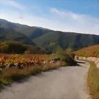 DSCN4610