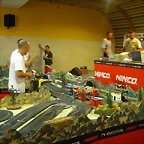 Perspectivas gral del Rally (5) (Small)