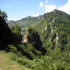 DSCN3851