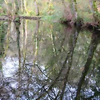 035-IMG_3328