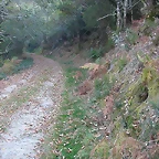 DSCN7953
