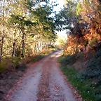 DSCN7955