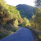 DSCN7959