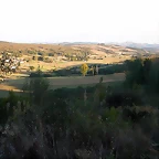 DSCN7960