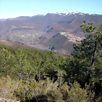 DSCN8009