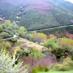 DSCN3859
