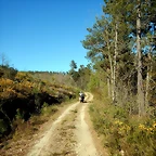 DSCN9008