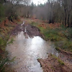 DSCN5368