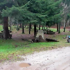 DSCN5355