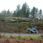 DSCN5364