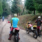 DSCN5356