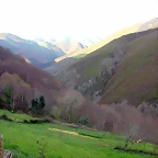 DSCN8592