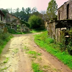 1-IMG_3352