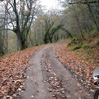 DSCN0857