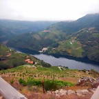 DSCN6254
