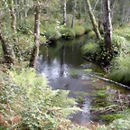 DSCN8971