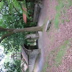 26-IMG_1708