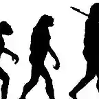 evolucion1--647x231