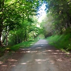 DSCN4898