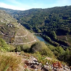 DSCN0461
