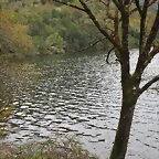 s remanso rio